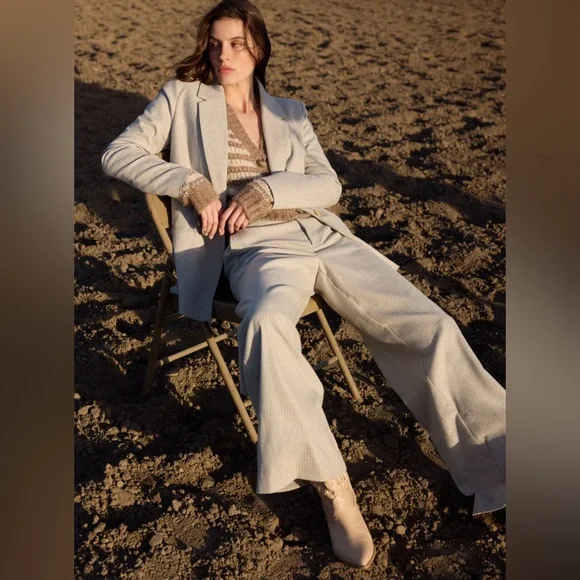 Z Supply Evette Pinstripe Pant New